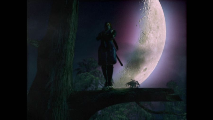 DEAD OR ALIVE 3_42.jpg