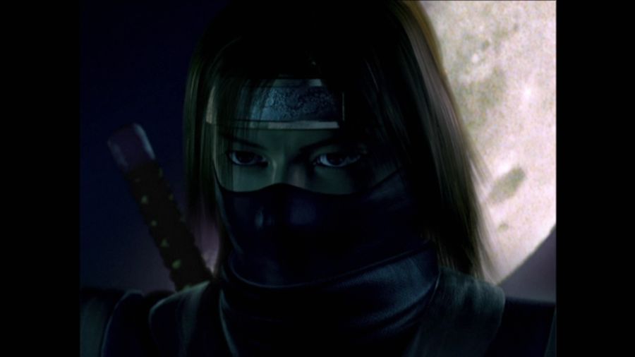 DEAD OR ALIVE 3_43.jpg