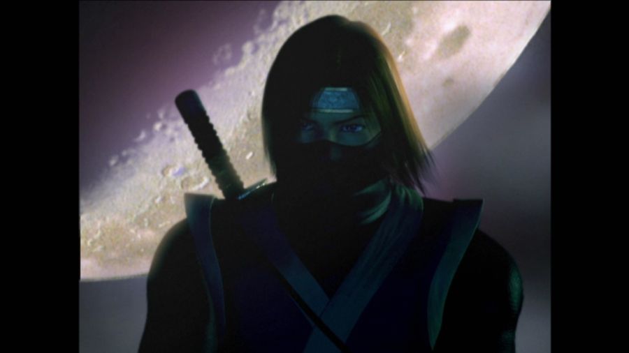 DEAD OR ALIVE 3_47.jpg