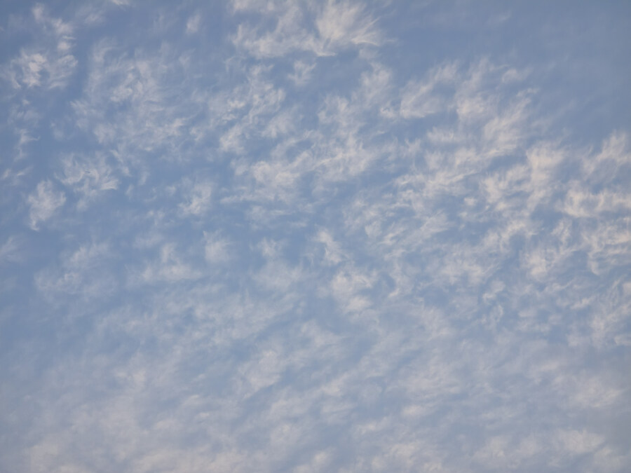 사진)푸른 하늘_1.jpg