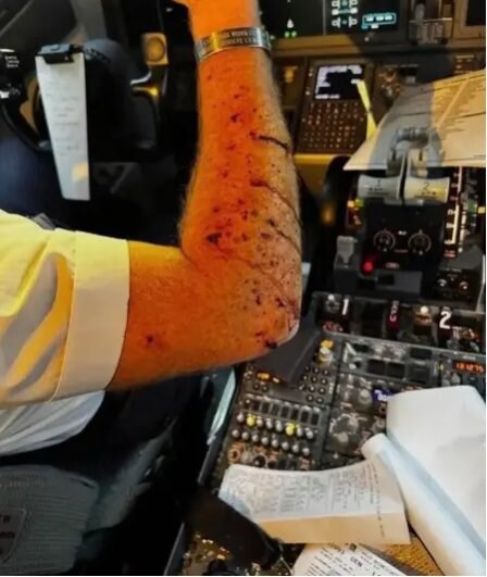 혐) 우주 쓰레기 근황.jpg_1.png