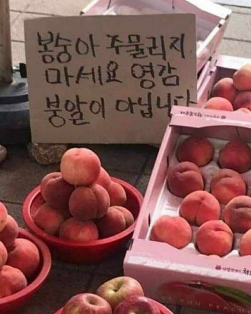 강한 자들만 살아남는 K-마켓.jpg_3.jpg