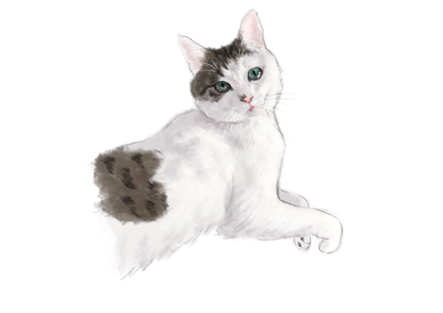 고양이) 넘으집 고양이_1.png