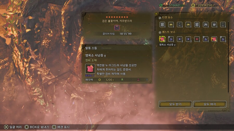 왕문어 첫날_1.jpg