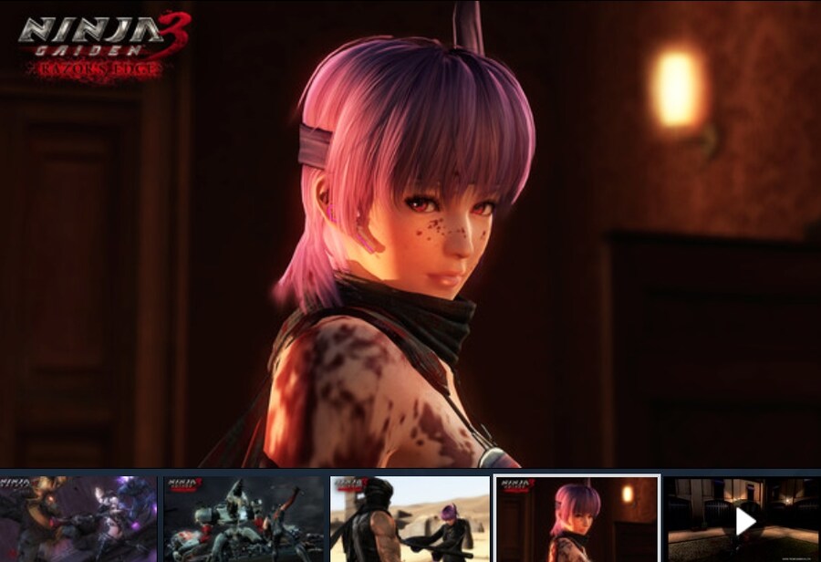 Q) 닌자가이덴 1,2,3 합본 이것 세일 살만한가요? (스팀)_3.jpg