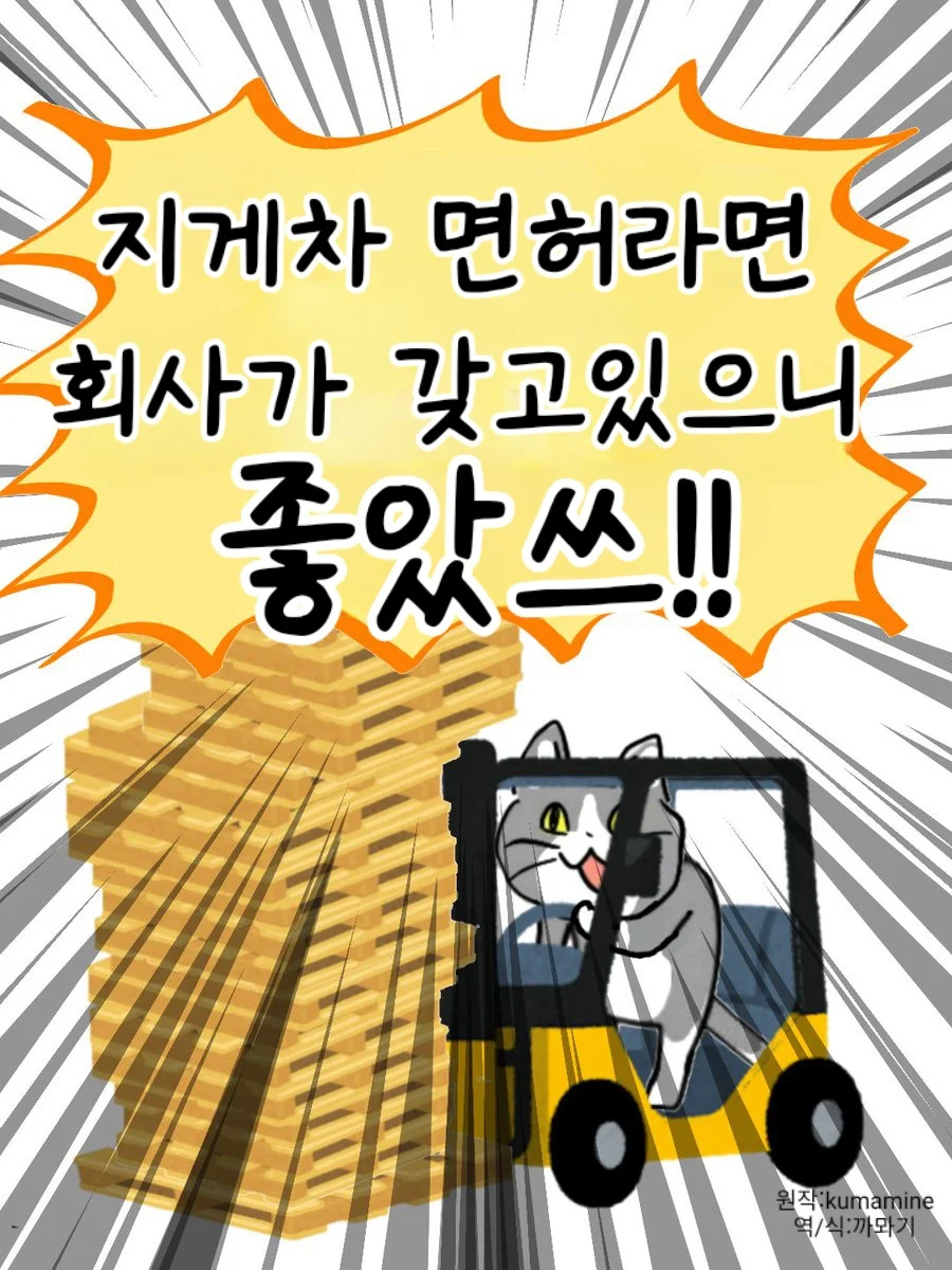 달려라 현장냥이, 지게차 좋았쓰_1.webp
