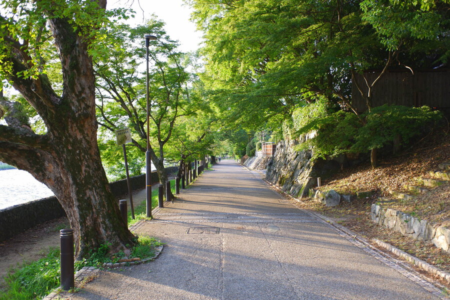교토 너머, 근교 여행 3부(초스압) - 우지, 교토_32.jpg