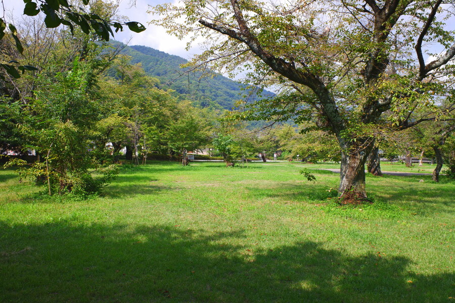 교토 너머, 근교 여행 3부(초스압) - 우지, 교토_70.jpg