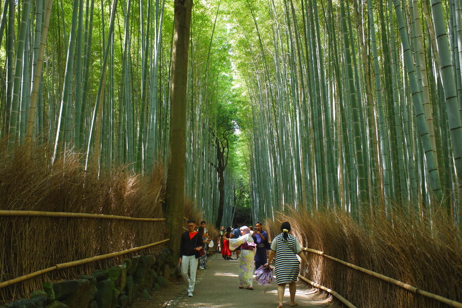 교토 너머, 근교 여행 3부(초스압) - 우지, 교토_80.jpg