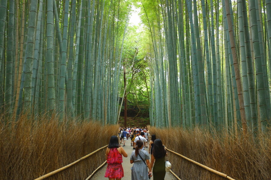 교토 너머, 근교 여행 3부(초스압) - 우지, 교토_81.jpg