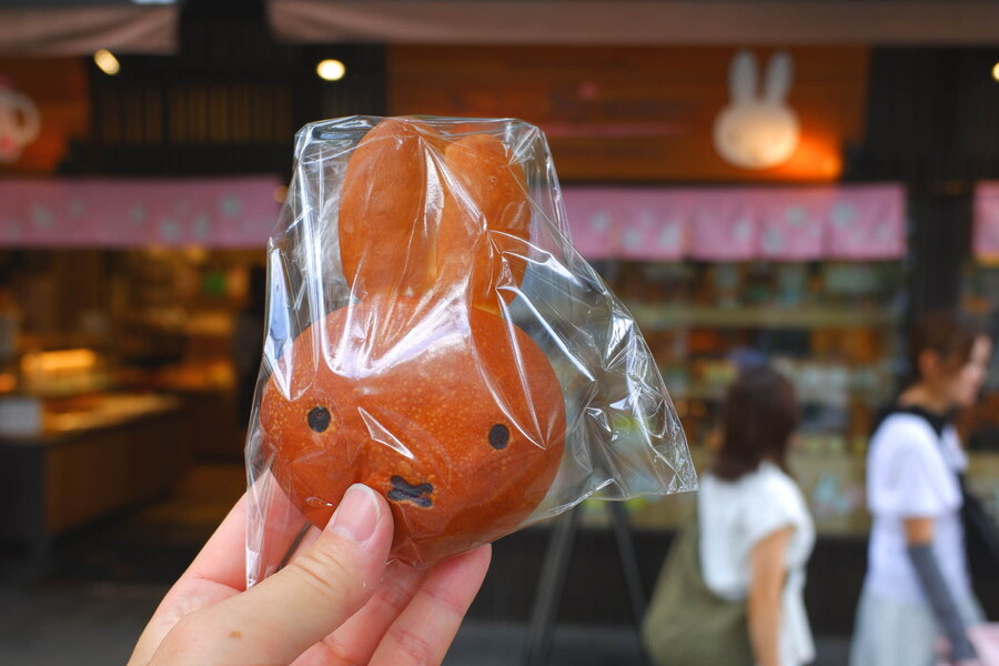 교토 너머, 근교 여행 3부(초스압) - 우지, 교토_90.jpg