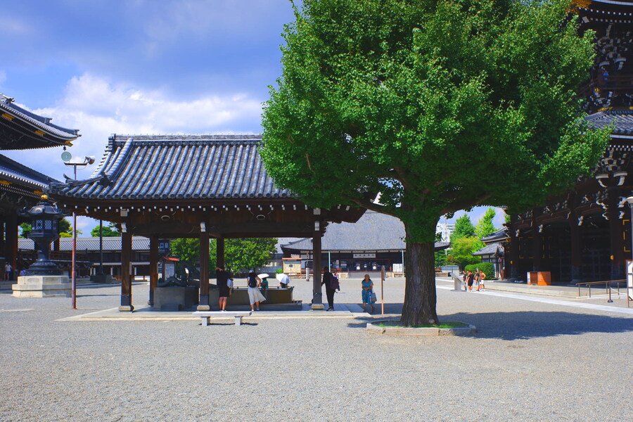 교토 너머, 근교 여행 3부(초스압) - 우지, 교토_106.jpg