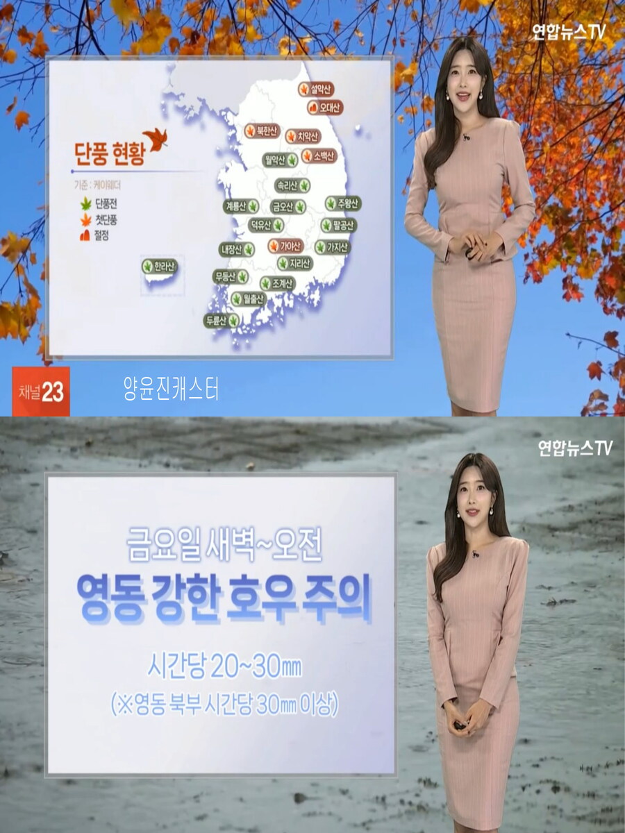 내일, 영동 강한 호우(완연한 늦가을 날씨, 오전 안개)_5.jpg