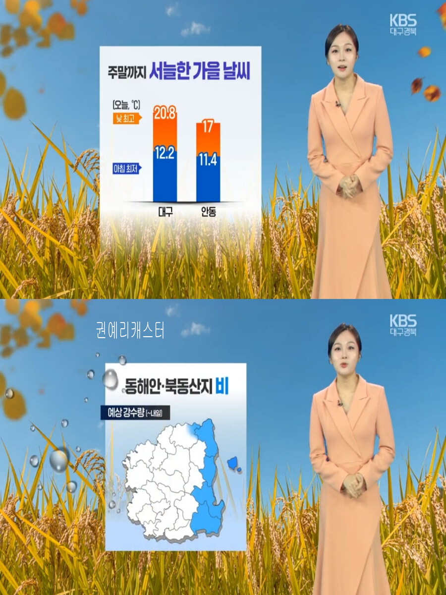 내일, 영동 강한 호우(완연한 늦가을 날씨, 오전 안개)_18.jpg