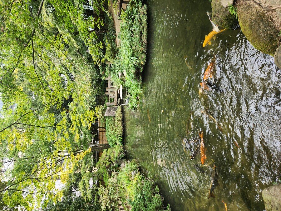 [스압]후쿠오카 여행 그런데 서브컬쳐가 곁들여진_24.jpg