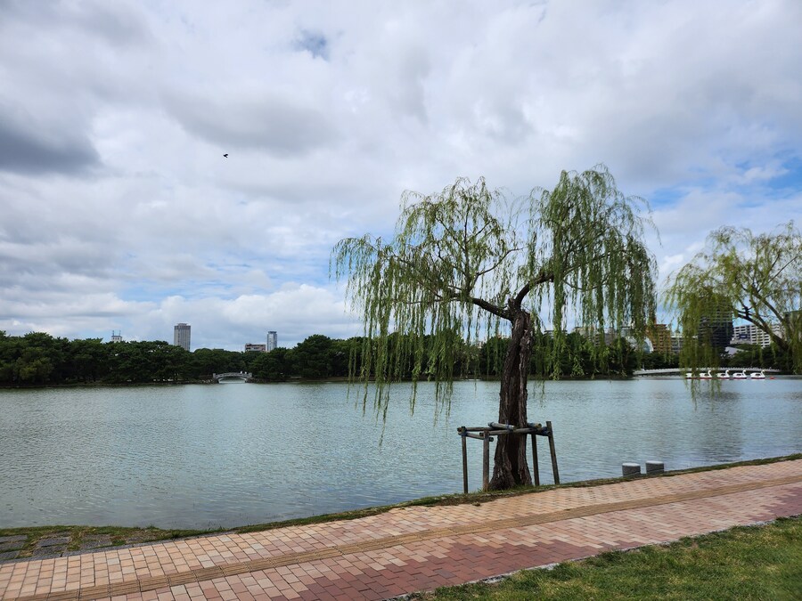 [스압]후쿠오카 여행 그런데 서브컬쳐가 곁들여진_67.jpg