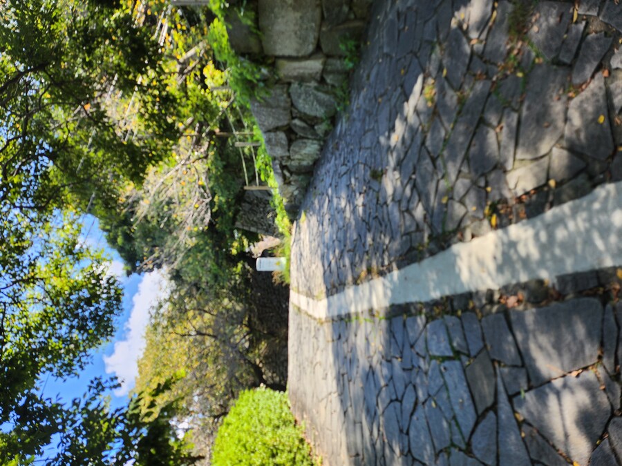 [스압]후쿠오카 여행 그런데 서브컬쳐가 곁들여진_73.jpg