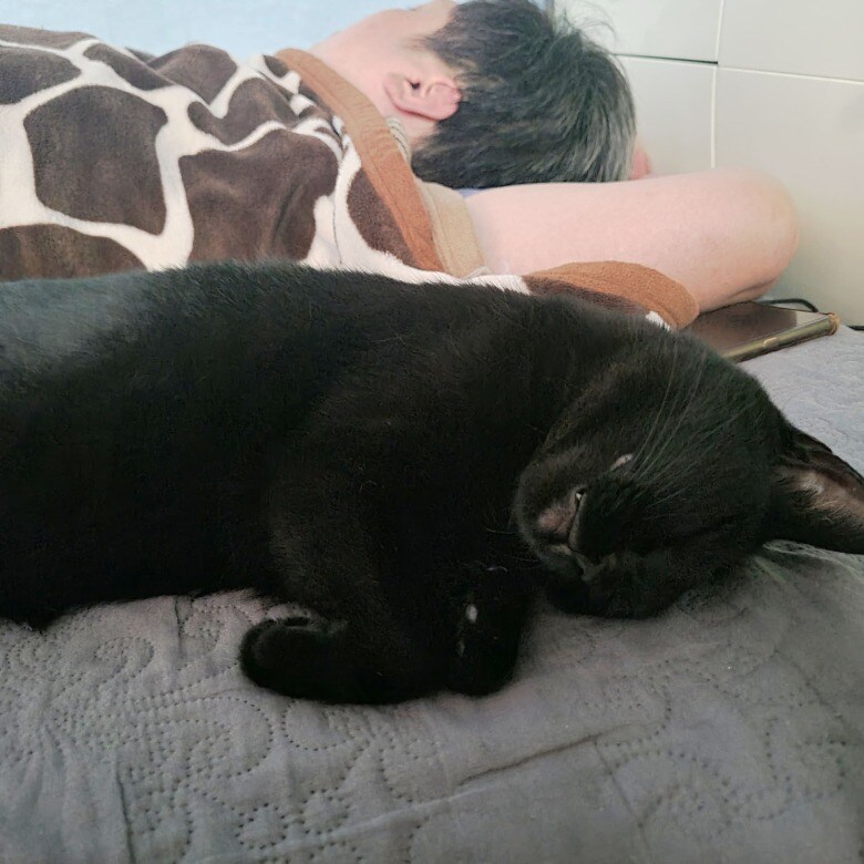 괭이 키우면 밤에 보게되는 모습_2.jpg