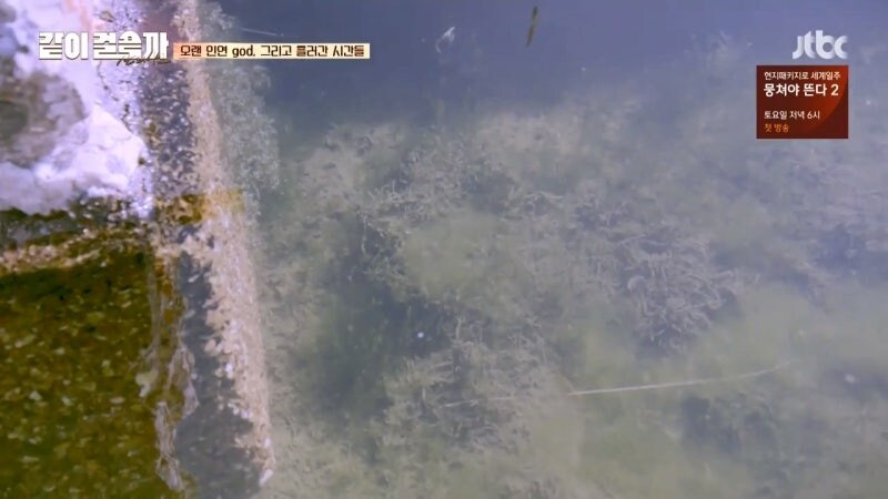 영화에 나왔던 순례길 핫스팟_15.jpg