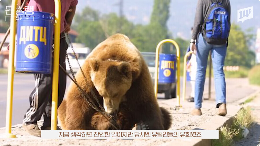 하리보가 젤리를 곰돌이 모양으로 만든 이유.jpg_11.jpg