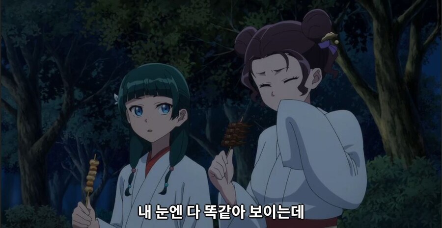 약사의혼잣말) 마오마오가 잘 모르는거_1.jpg