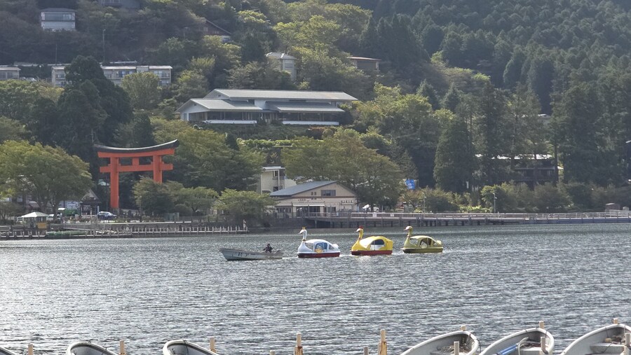 2025년 10월 4박5일 도쿄여행(스압주의)_98.jpg