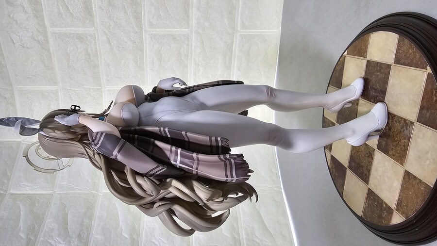 맥스팩토리)유니온크리에이티브)무로카사 아카네와 신죠 아카네_3.jpg