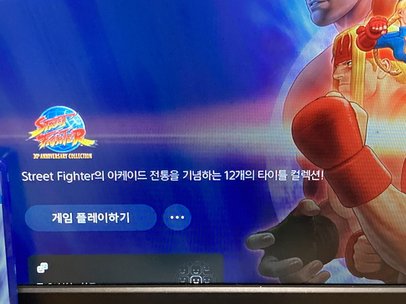 스트리트 파이터 30주년 기념 콜렉션_142.jpg