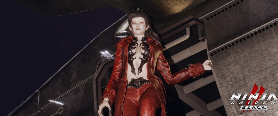 닌자 가이덴2 블랙.jpg_25.png