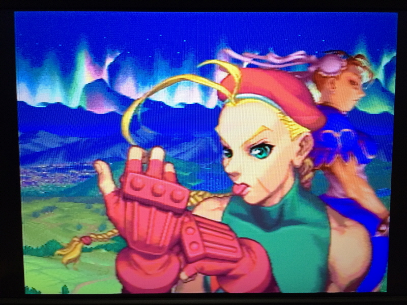 스트리트 파이터 30주년 기념 콜렉션_215.jpg