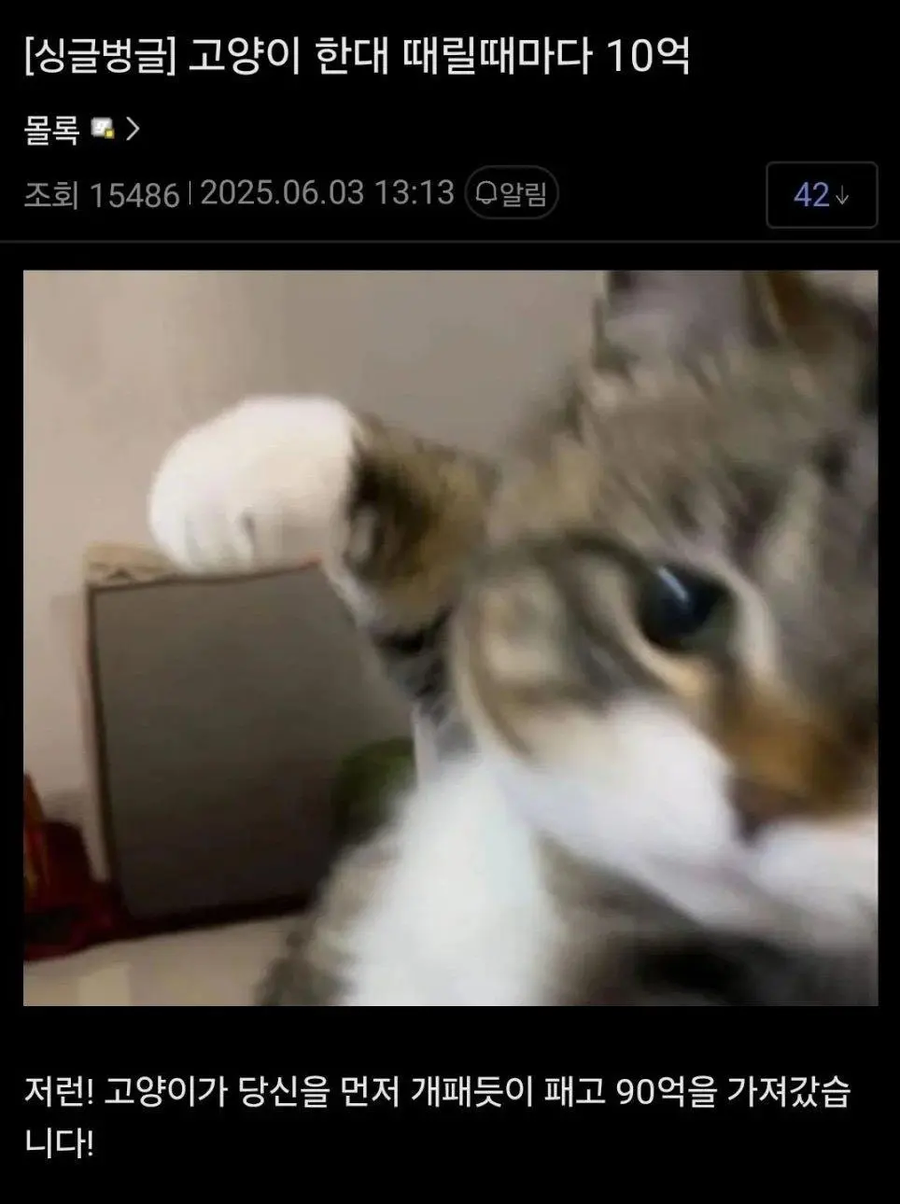 고양이 한대 때릴때마다 10억_1.webp