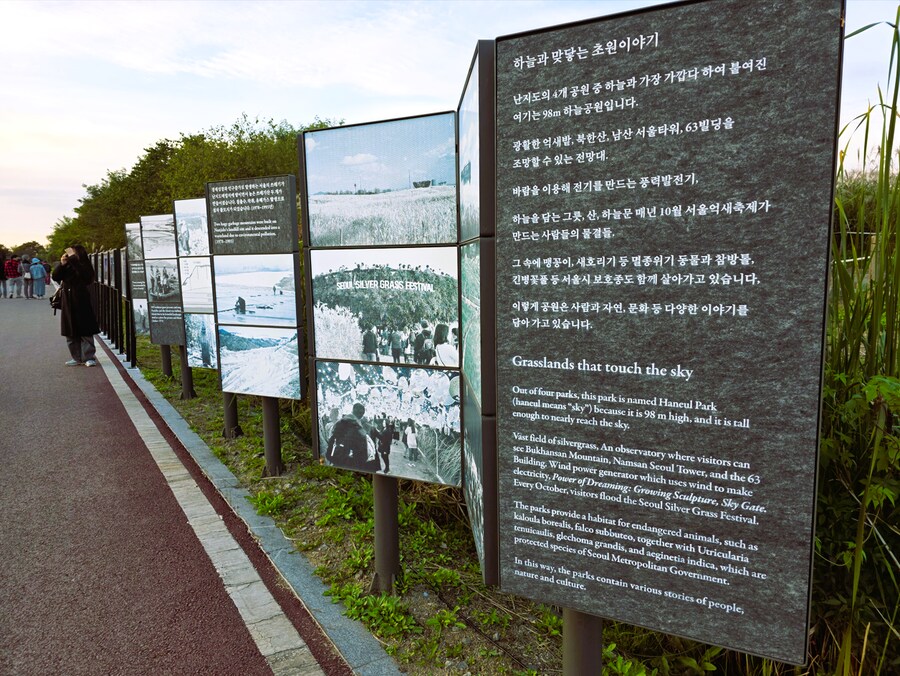 서울억새축제 (스압주의)_9.png