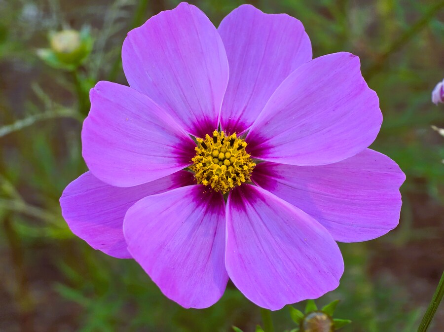 서울억새축제 (스압주의)_18.png