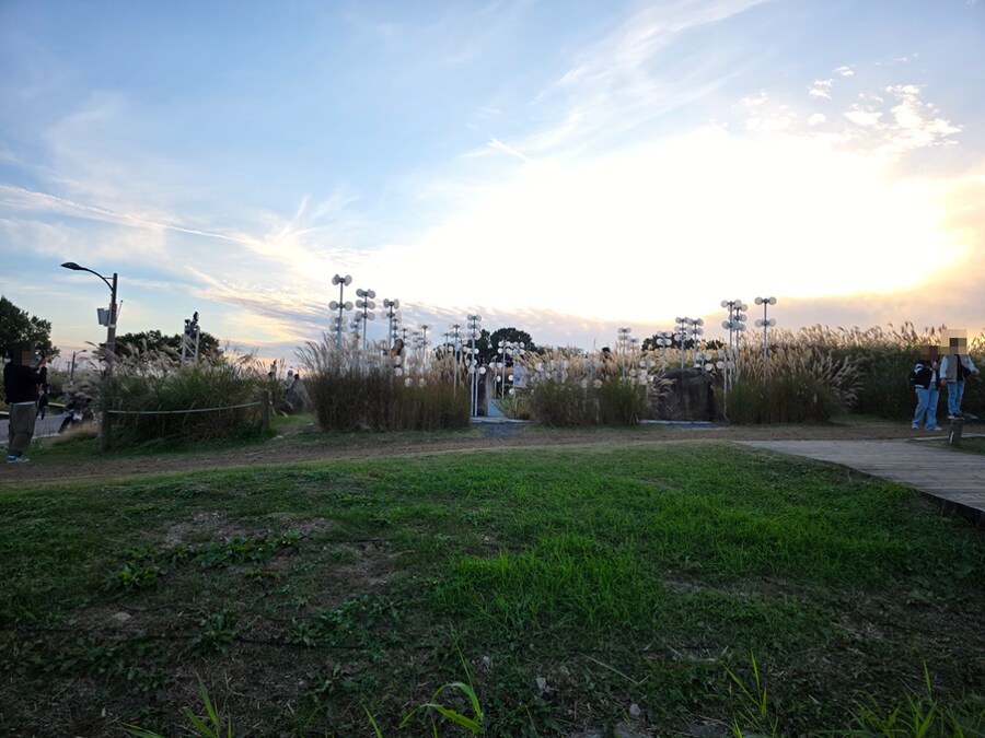 서울억새축제 (스압주의)_20.png