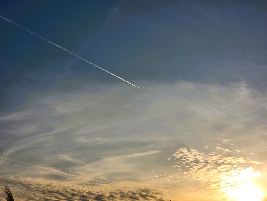 서울억새축제 (스압주의)_26.png