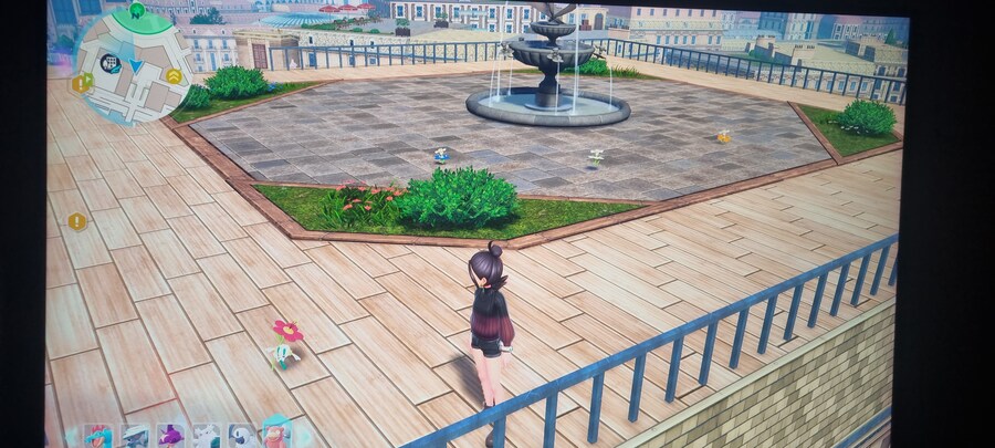 플라베베 깔별 4마리있는곳_1.jpg