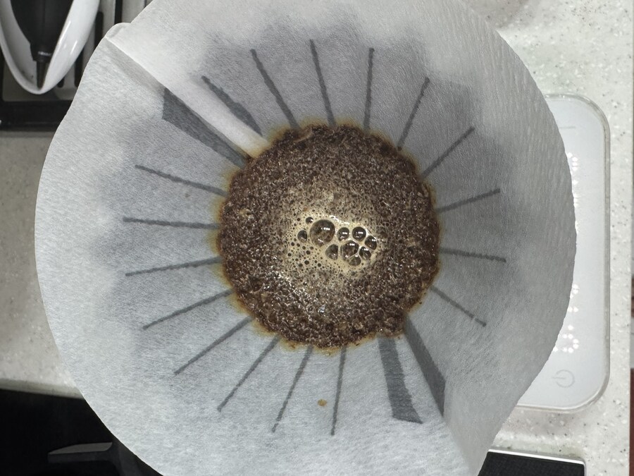 ㄹㄹ커피-bop 2024 GW-04 엘리다 부엘타 게이샤 워시드_4.jpg