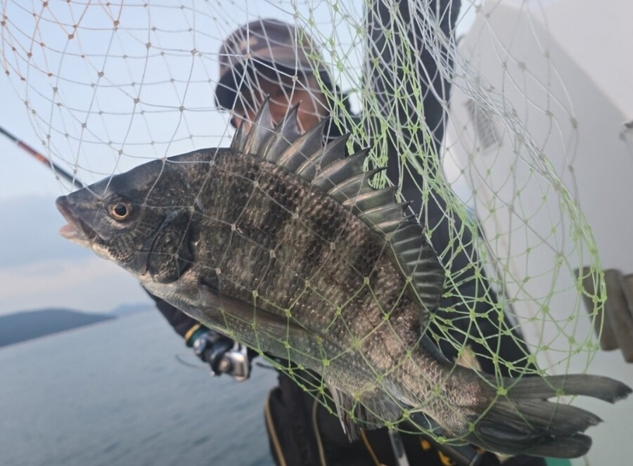 감성돔 낚시 다녀왔습니다._1.jpg