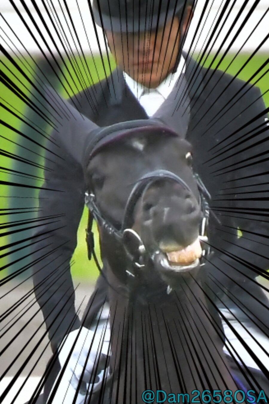 경마) 여~국화상 즐기고 가라고~_2.png