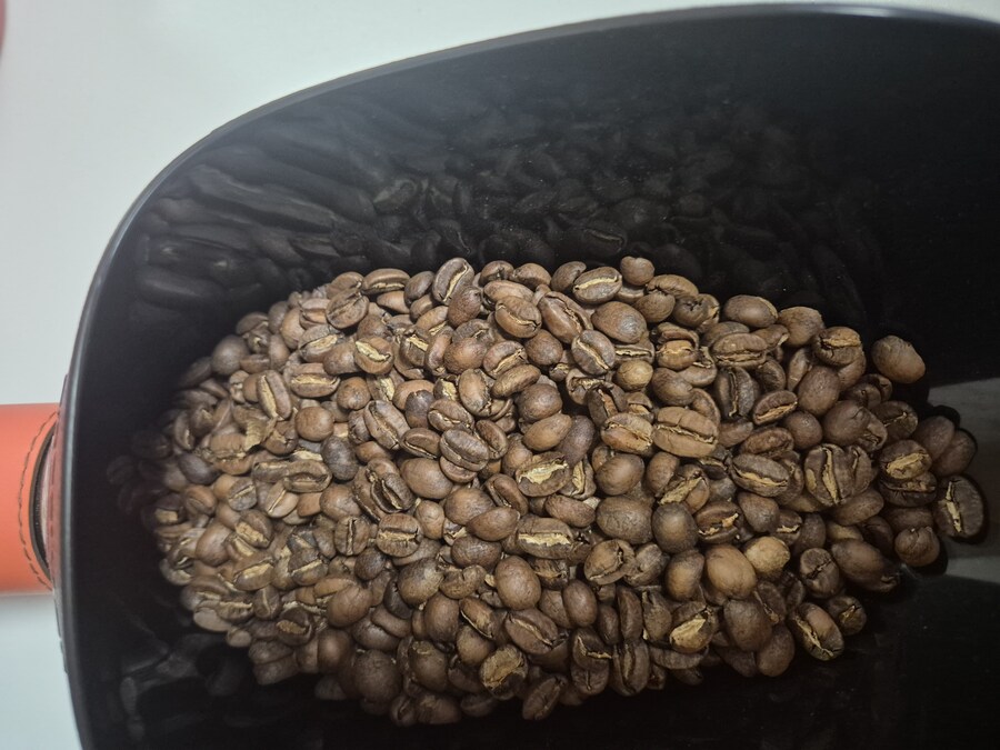 이번주에 한 로스팅_2.jpg