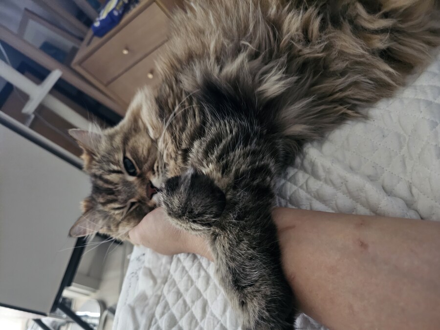 요즘 동거 코고는 소리 때문에 너무 힘들다..(인증)_5.jpg