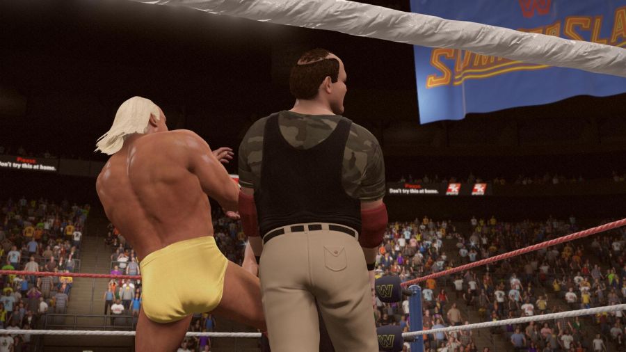 WWE 2K15_16.jpg