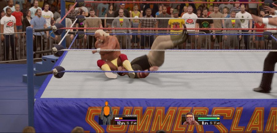 WWE 2K15_22.jpg