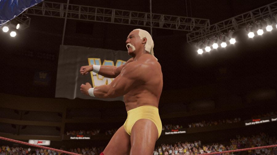 WWE 2K15_26.jpg