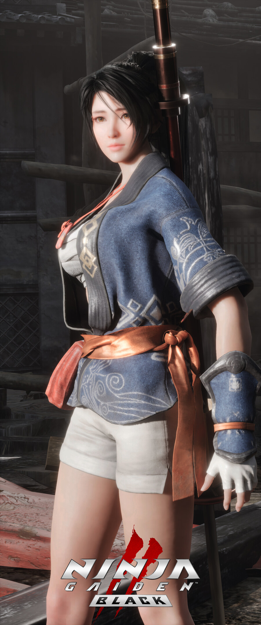 닌자 가이덴2 블랙.jpg_22.jpg