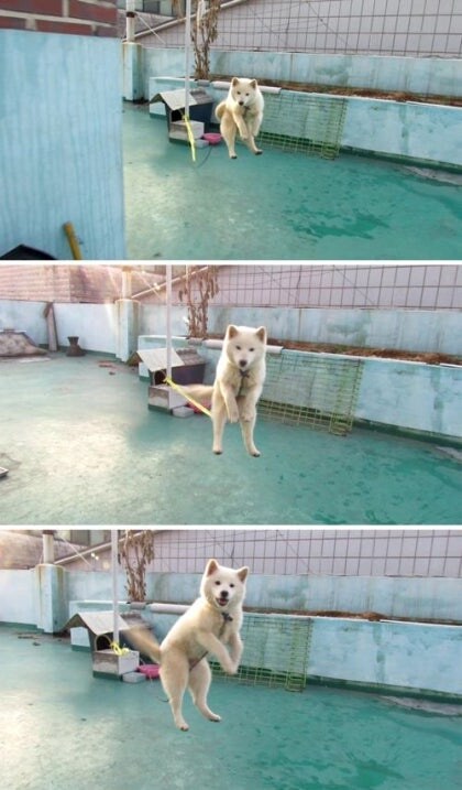 노출사고 터질까봐 코디가 옷을 붙여버린 연예인_16.jpg