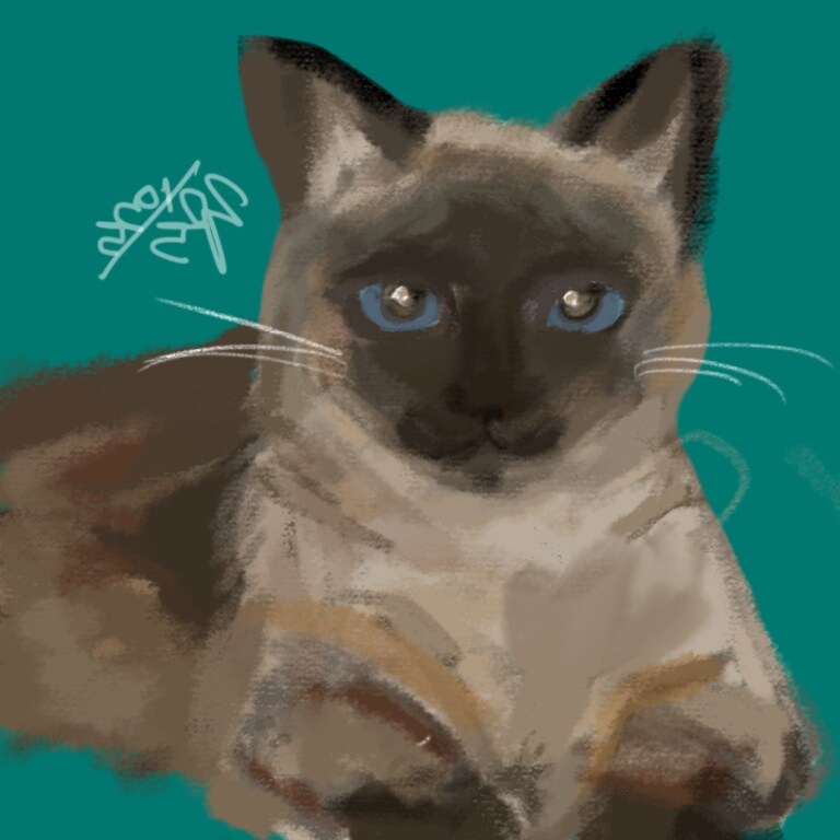 연순이(19세)가 무지개 다리를 건넜습니다._8.jpg