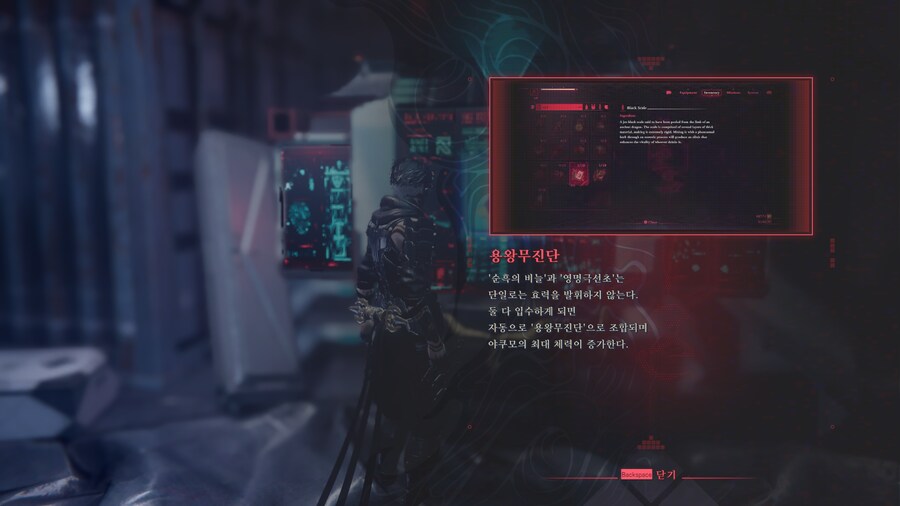 닌자 가이덴 4_21.png