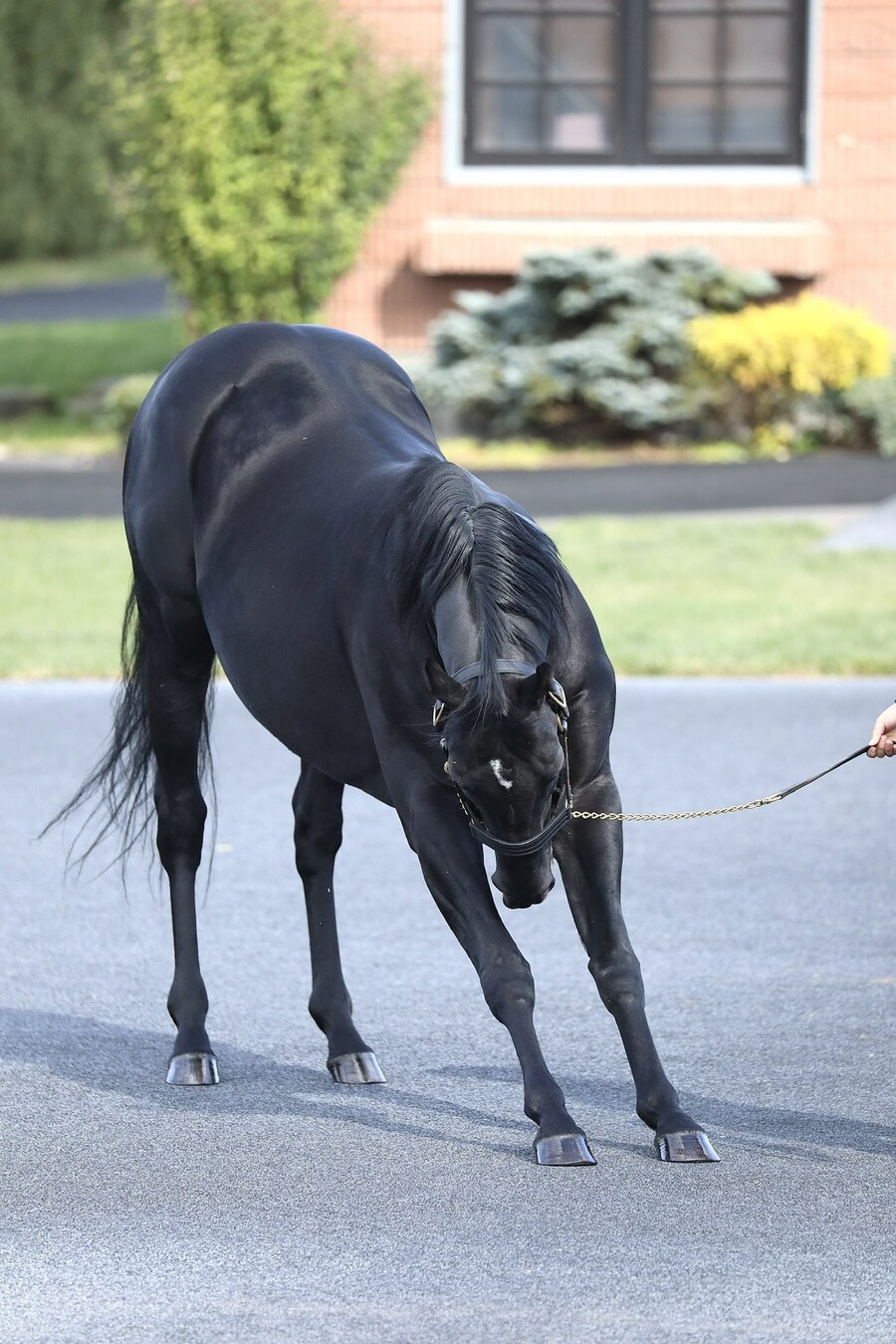 경마) 콘붕이 근황_1.png