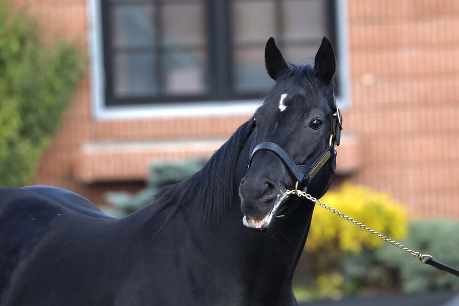 경마) 콘붕이 근황_2.png